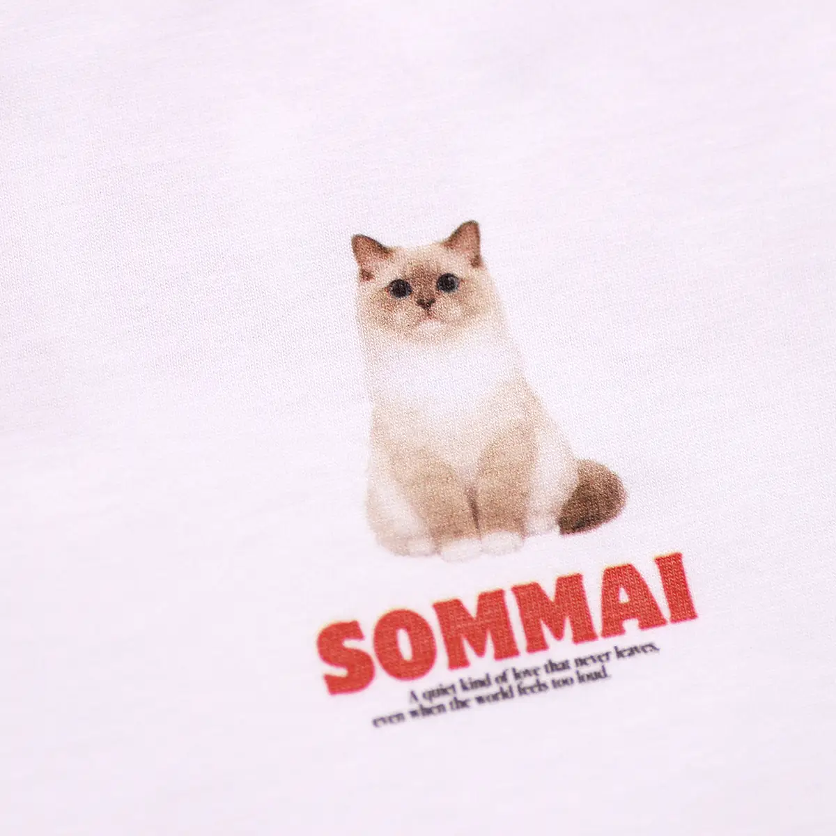 ราคาสกรีนเสื้อคิดจากอะไร