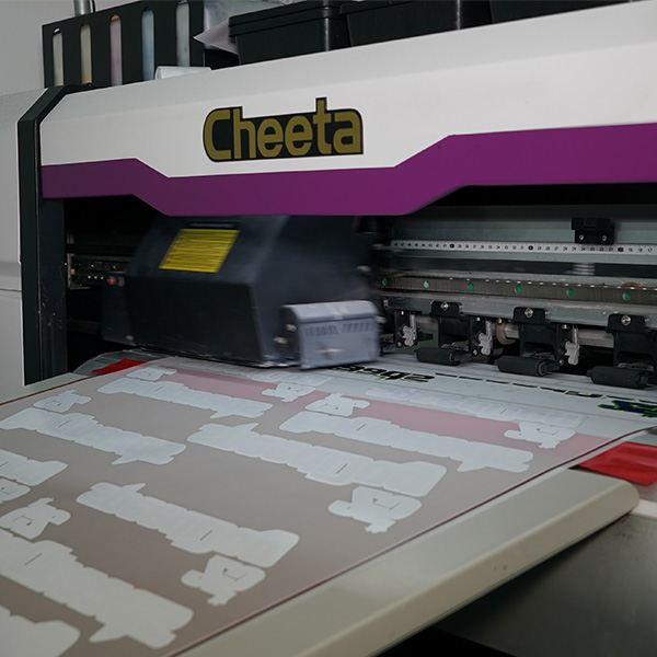 เครื่องสกรีน DTF Cheetah DTF เครื่องสกรีน DTF Cheetah DTF