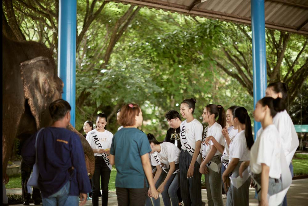 ผลงานสกรีนจริง