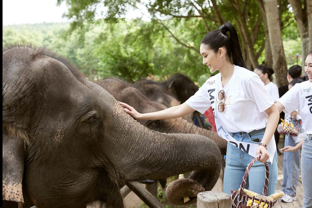 ราคาสกรีนเสื้อ
