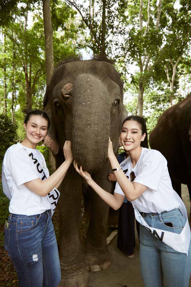 พื้นที่ให้บริการ