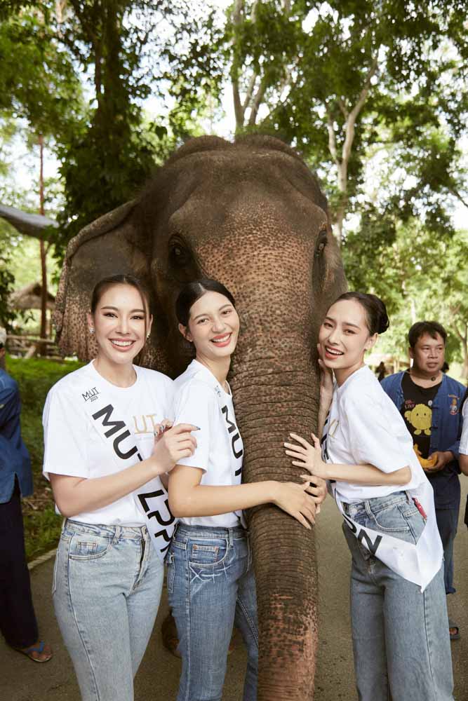 พื้นที่ให้บริการ