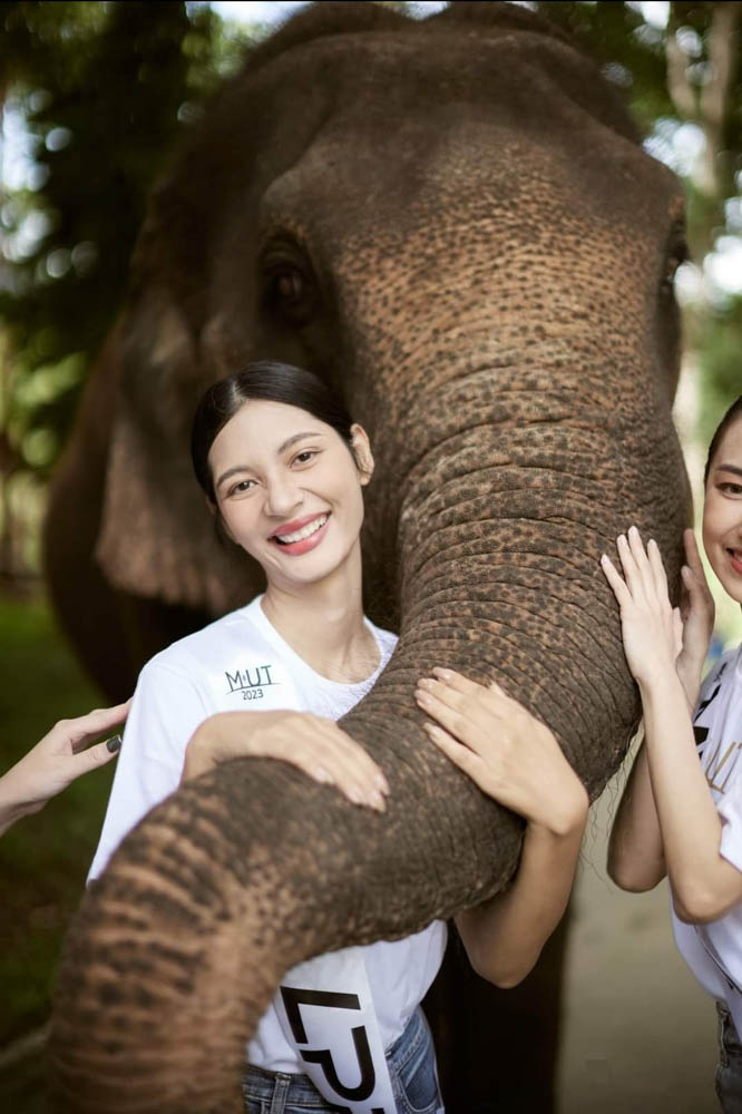 พื้นที่ให้บริการ